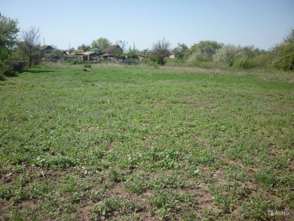 Погода в степана разина волгоградская область ленинский. Поселок Степана Разина Волгоградская область. Поселок Степана Разина Волгоградская область фото.